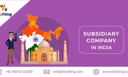 How to start a Subsidiary Company in India?