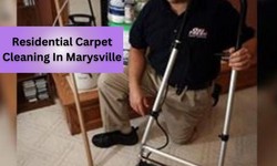 Experience Top-Notch Residential Carpet Cleaning in Marysville