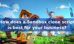 How does a Sandbox clone script is best for your business?