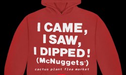 Fashion Evolved: Design Your Own Cactus Hoodie Store Statement