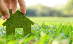 A Simple Guide to Creating and Maintaining an Eco-Friendly Household