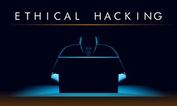 Ethical Hacker’s: Top 10 Web Application Penetration Testing Books