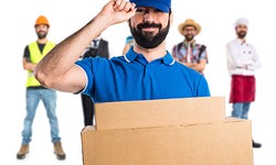 How To Avoid Moving Day Disasters With A Professional Moving Company?