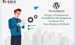 Hiring a Professional WordPress Development Company For Your Business Website