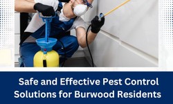 Safe and Effective Pest Control Solutions for Burwood Residents
