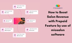 How to Boost Salon Revenue with Prepaid Feature by use of miosalon software