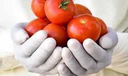 The Organic Revolution: Buy Fresh Organic Vegetables Online for a Healthier Lifestyle