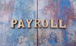 Maximizing Efficiency with Payroll Software: Best Practices and Workflow Tips