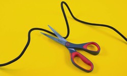Cord Cutting Ritual and the Evolution of Entertainment Consumption
