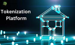Unleashing the Future of Investments: Embrace the Power of Tokenization Platforms