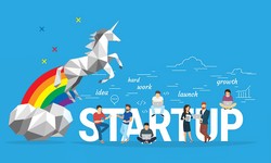 Startups and Unicorns: Riding the High-Risk, High-Reward Wave of Venture Capital