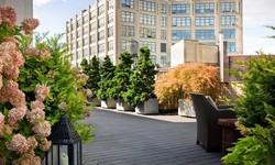 Transform Your Landscape in New York City with Plant Specialists