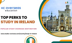 Top Perks to Study in Ireland