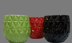 Crafting Green Beginnings: The Role of Ceramic Nursery Pots Manufacturer in Horticulture
