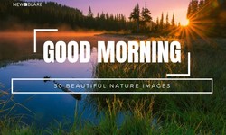 Connecting with Mother Earth: Unveiling the Tranquility of Nature Through Stunning Good Morning Images