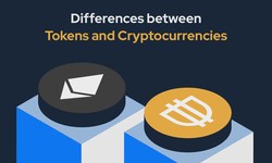 Uncovering the Fascinating Contrasts between Tokens and Cryptocurrencies