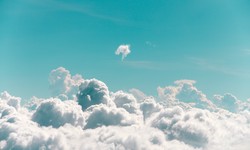 Is the Cloud Truly Cost-Effective, or Why Do Businesses Choose It