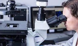What is microscopes and its uses?