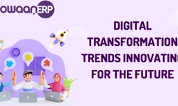 Role of ERP software and solution in digital transformation
