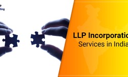 How To Form An LLP In India?