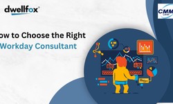 How to Choose the Right Workday Consultant