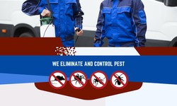 Why Pest Control Services Are More Important Than Ever: An In-Depth Analysis