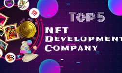 Top 5 NFT Development Companies in (2023) USA