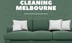 Why Couch Cleaning Services are Essential for a Fresh and Allergen-Free Living Environment