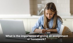 The Incredible Significance of Assignments for Students