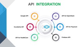 Unleashing Business Potential with Seamless API Integration Services from Cubixsol