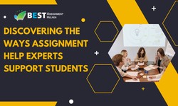 Discovering the Ways Assignment Help Experts Support Students