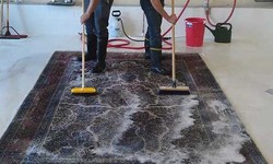 Elevate Your Space: Transformative Carpet Cleaning Services