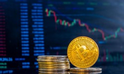 Why Building A Crypto Exchange Is Profitable