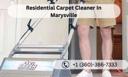 Experience Premium Carpet Cleaning in Marysville