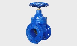 Enhancing Water Management with Resilient Gate Valves: The Role of a Trusted Manufacturer