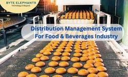 Optimizing Food & Beverages Distribution: Introducing our DMS Solution
