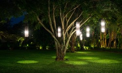 The Illuminating Advantages of Hiring a Professional Outdoor Lighting Contractor in Tampa
