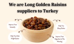 We are Long Golden Raisins suppliers to Turkey