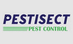 Pest Control Services in Brampton