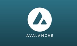 Avalanche Node Monitoring: Tools and Techniques to Ensure Optimal Node Performance