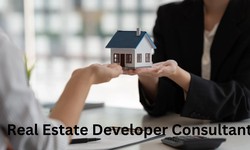 Real Estate Developer Consultants: Guiding the Path to Successful Projects