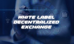 Unleashing the Potential of White-Label Decentralized Exchanges