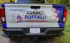 Effective Fleas Control Solutions in Buffalo: Your Trusted Exterminators