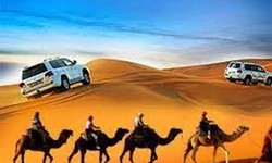 Unlocking The Adventure Of A Lifetime With Desert Safari Services