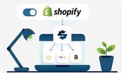 Providing Top-Notch Customer Support on Your Shopify Store