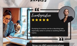 Exam Dumps Websites Reviewed and Rated: Making an Informed Choice