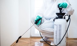 The Importance of Professional Pest Control Services: Keeping Your Home Free from Unwanted Guests