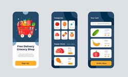 Key Features for a Successful Grocery Delivery App