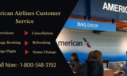 American Airlines Customer Service: Navigating Excellence in Air Travel