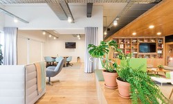 Shared Office Melbourne: Embracing Flexibility and Collaboration in the Business Hub